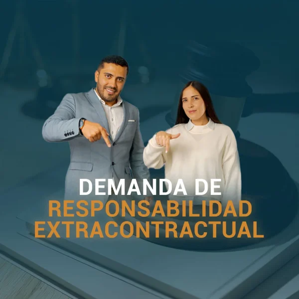 DEMANDA DE RESPONSABILIDAD EXTRACONTRACTUAL