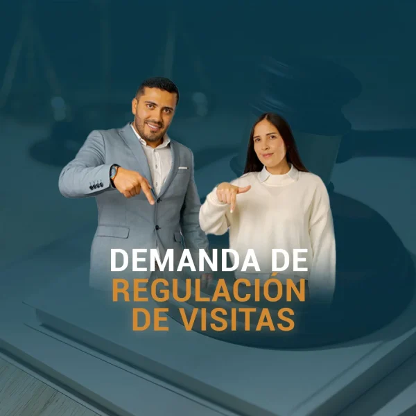 Demanda de regulación de visitas