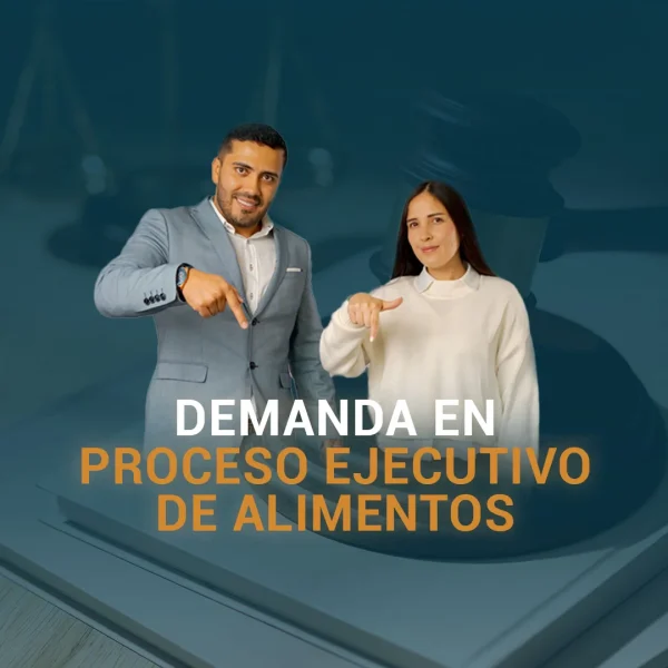 Demanda en proceso ejecutivo de alimentos